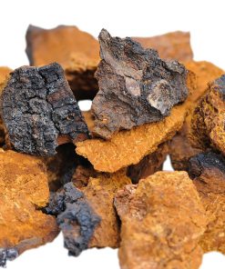 Chaga-Pilz-Brocken-Roh